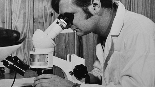 Design Like A Scientist