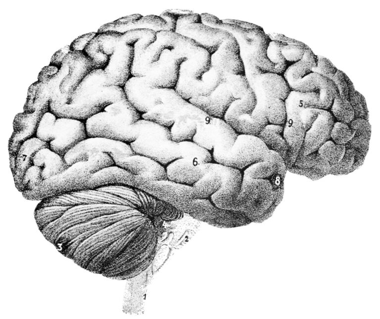Applied Psychology in Silicon Valley.