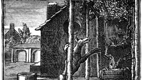 The Triumph of The Most Poisonous Emotion