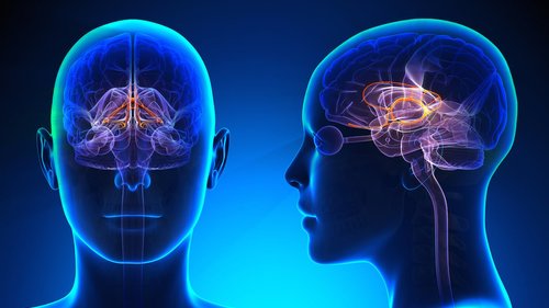 ​Everything Changes Your Brain